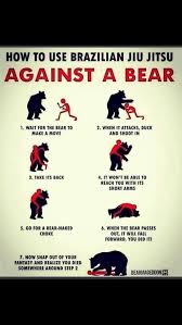How To Use Brazilian Jiu Jitsu Against A Bear Funny Meme Lol 640x1136 Jpeg Jiu Jitsu Brazilian Jiu Jitsu Self Defense Moves
