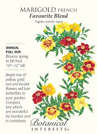 Favourite Blend French Marigold Seeds 500 Mg House Plant Delivery Planting Bulbs Flowers