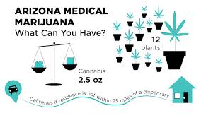 If you wish to do this yourself, medical marijuana applications can be completed online: What You Need To Know About Medical Marijuana In Arizona