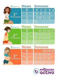 Descubre a qué mes de embarazo equivale cada semana con la calculadora conversora de semanas a meses de embarazo. 30 Semanas De Embarazo Cuantos Meses Son Babycenter Cuantas Semanas De Apocamiento Tengo Con Calculadora Online
