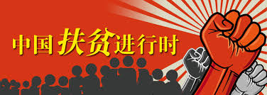 Image result for 中国扶贫