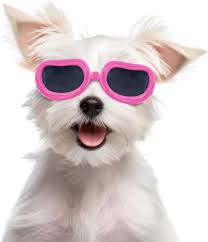 𝐌𝐄𝐆𝐀 𝐅𝐄𝐑𝐈𝐀 𝐕𝐚𝐜𝐮𝐧𝐚𝐜𝐢ó𝐧 𝐲 𝐌𝐢𝐜𝐫𝐨𝐜𝐡𝐢𝐩 𝐩𝐚𝐫𝐚  𝐩𝐞𝐫𝐫𝐨𝐬 𝐲 𝐠𝐚𝐭𝐨𝐬, éste sábado en el Municipio de Río Grande