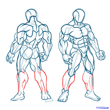 How To Draw Muscles Step 23 Figure Drawing Human Figure Drawing Human Anatomy Art