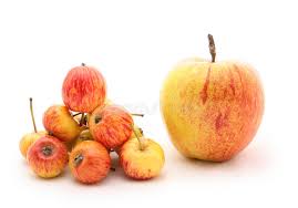 Browse 255 iphone xr stock photos and images available, or start a new search to explore more stock photos and images. 1 488 Big Small Apple Photos Free Royalty Free Stock Photos From Dreamstime