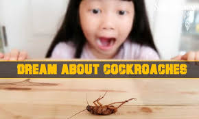 What Does It Mean When You Dream About Cockroaches Dream Meanings How Are You Feeling Cockroaches