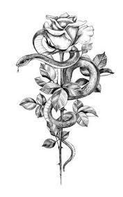 Black And White Snake Tattoo Drawing Hand Drawn Twisted Snake With Rose On High Stem Isolated On In 2020 How To Draw Hands Vintage Tattoo Snake Tattoo Design
