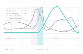 How To Use Basal Body Temperature To Determine Ovulation