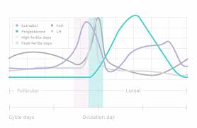 how to use basal body temperature to determine ovulation