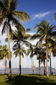 Flamengo park, also known as aterro do flamengo, eduardo gomes park, and aterro do brigadeiro eduardo gomes, is the largest public park and recreation area within the city of rio de janeiro, in eastern brazil. Flamengo Park In Rio De Janeiro Stock Photos Freeimages Com