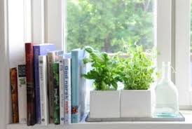 Pin By Melisa Nicole On Decor Apt Window Sill Decor Window Herb Garden Growing Herbs Indoors
