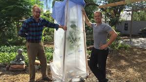 Etsamor 6.5 x 33ft winter plant protection cover warm frost cloth blanket polypropylene garden fabric protecting fruit tree potted plants from freezing and animals eating. How To Frost Protect Your Tropical Fruit Trees Youtube