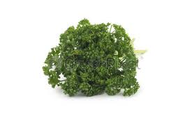 We did not find results for: Bunch Of Fresh Green Parsley Stock Photo Crushpixel