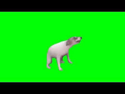 Dance Till You Re Dead Dog Greenscreen Effect Youtube In 2020 Greenscreen Dead Dog Green Screen Video Backgrounds