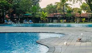 5 Kolam Renang Di Surabaya Yang Wajib Anda Kunjungi