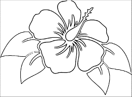See more ideas about coloring pages, coloring pages for kids, flower coloring pages. Simple Hawaiian Flower Coloring Pages Novocom Top