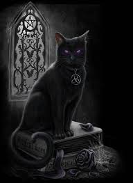 Beautiful Black Cat With Purple Eyes Grown Up Black Cat With Purple Eyes Looking Mean Black Cat Art Magic Cat Cat Art