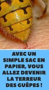 Epingle Sur Astuces