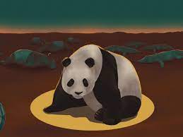 How we saved pandas from extinction as the rest of nature collapsed - Vox