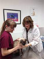 We offer progressive medical, surgical, and dental care for. West Salem Animal Clinic In Salem Or Is A Veterinarian In Salem Or 97304