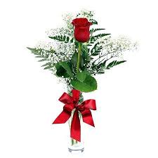 Maybe you would like to learn more about one of these? Rosa Rossa Singola Confezioni Floreali Rosa Rossa Fiori Di Compleanno