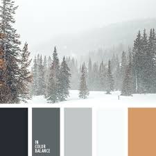 Looking for color palettes for your ui? Shades Of Gray Color Palette Ideas