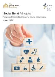 Bond définition, signification, ce qu'est bond: Social Bond Principles Sbp
