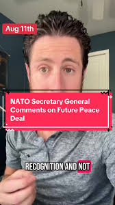 NATO Secretary General Comments