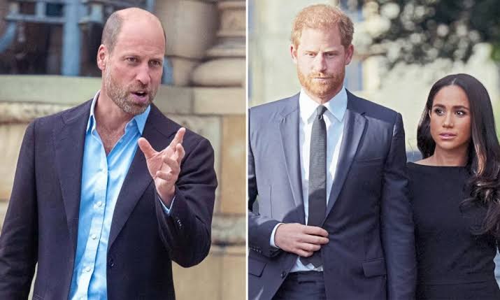 Prince William 'Has Found No Resistance' On Stripping Prince Harry and  Meghan Markle of Royal Titles