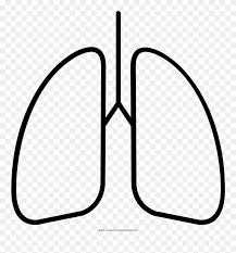 View all kirby coloring pages. Lungs Coloring Page Lung Drawing Clipart 5538217 Pinclipart