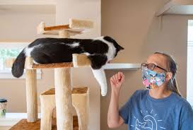 Timbuktuu coffee bar, iowa n'a pas encore assez de notes sur ses plats, son service, son rapport qualité/prix ou son ambiance. Cat Cafe With Coffee And Kitties Opens In West Des Moines
