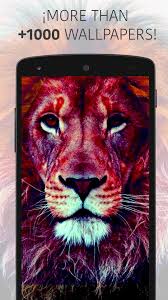 ¿qué es un fondo de pantalla de león? Fondos De Pantalla Leones Hipsters En Hd Animales For Android Apk Download