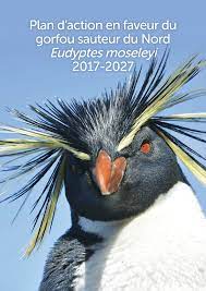 Locations Of Southern Rockhopper Penguin Breeding Colonies At The... |  Download Scientific Diagram