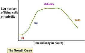 The cells may be removed from the tissue directly and disaggregated by enzymatic or mechanical means before cultivation. Bacterial Growth Curve Phases Significance Microbe Online