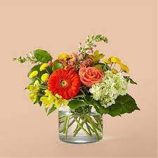 Maybe you would like to learn more about one of these? Same Day Flower Delivery Send With Same Day Delivery Proflowers