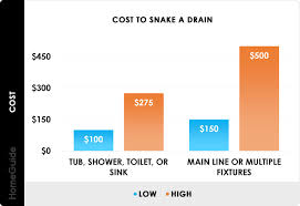 2021 cost to snake a drain plumber