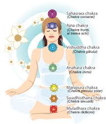 Anumite pietre pretioase si nu numai, te pot ajuta sa atragi energii pozitive in viata ta, iti pot aduce noi oportunitati si te pot scoate din probleme. Rudraksha Si Pietre Semipretioase In Functie De Chakra