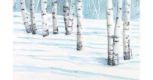 Winter Landscape Birch Tree Watercolor 4 X 6 Inches Original Etsy Birch Tree Painting Winter Watercolor Tree Drawing