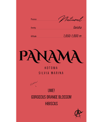 Panama Kotowa Silvia Marina, Geisha