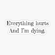 Easily move forward or backward to get to the perfect spot. Everything Hurts And Im Dying Stickers Redbubble