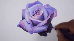 How To Draw A Lavender Rose Step By Step Tutorial By Art Fadil Free Pik Psd Blending Colored Pencils Rose Step By Step Roses Drawing