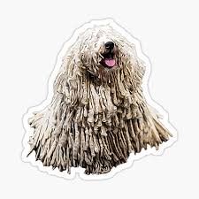 This breed standard for the hungarian puli is the guideline which describes its ideal characteristics, temperament, appearance and colour. Hungarian Puli Gifts Merchandise Redbubble