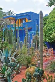 Ecomiscelaneas By Ale Fella Con Imagenes Jardin De Cactus Jardines Plantas De Desierto