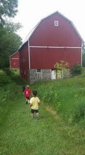 5 Family Friendly Ann Arbor Hikes