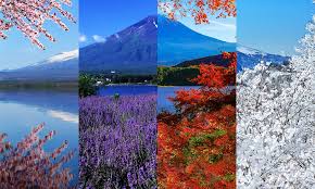 Hop On The Bus From Narita Airport To Get Breathtaking Views Of Mt Fuji Jpvisitor