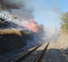 La struttura vicino bagni di tivoli con i migliori giudizi. Ferrovia Roma Tivoli Sospesa La Circolazione Dei Treni Per Un Incendio