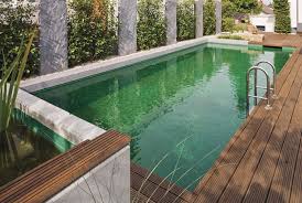 Naturpool Gartenpools Naturschwimmbecken Naturschwimmbad
