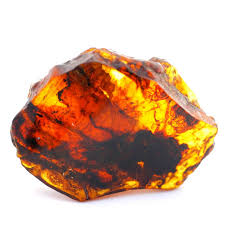 Determinaron que la fuente del ámbar fueron los algarrobos, una especie de árbol que también es el más caro del mundo porque es el más transparente y porque se han hallado muestras en colores. Ambar Usos Y Propiedades Minerales Del Mundo