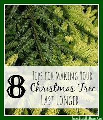 Dec 13, 2018 · place the tree in a sheltered spot indoors away from radiators and fireplaces, which could cause it to dry out. 8 Ways To Make Your Christmas Tree Last Longer