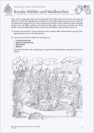 Schon Stockwerke Des Waldes Arbeitsblatt Grundschule Druckbare Bestimmt Fur Stockwerke Des Arbeitsblatter Grundschule Stockwerke Des Waldes Wald Grundschule