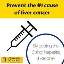 15709587 abstract hepatitis b is a viral infection of the liver and is serious global public health problem with a high risk of. World Immunization Day Hepatitis B Vaccine Hepatitis B Foundation